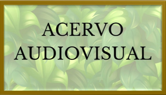 AUDIOVISUAL